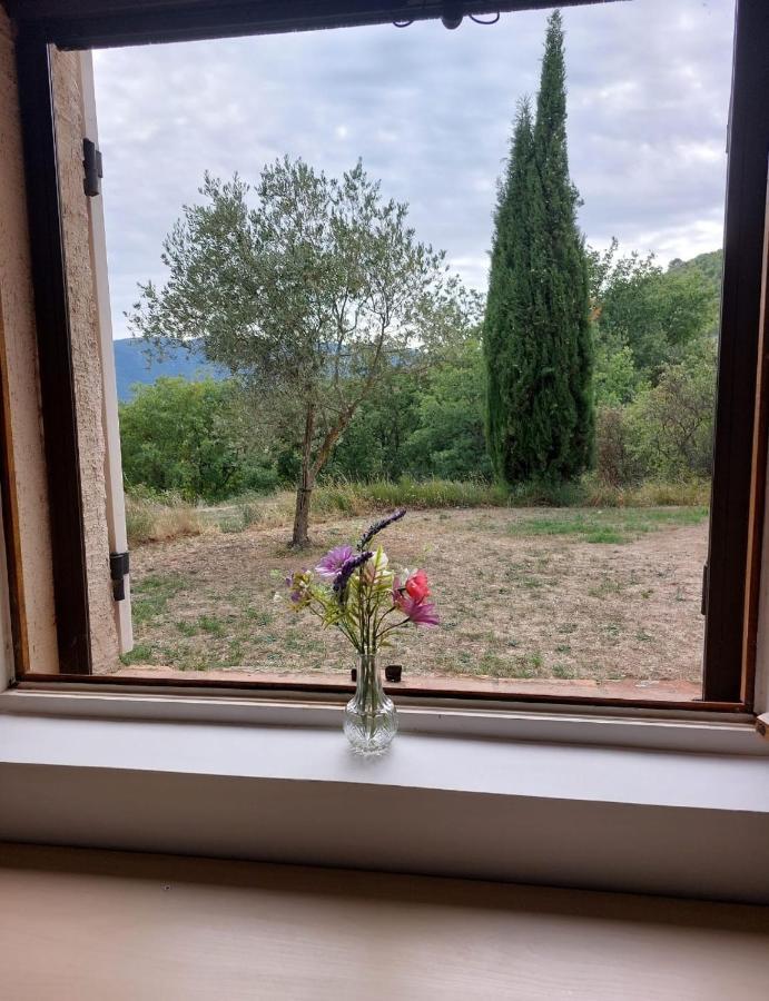 superbe logement au cœur Luberon proche du Colorado provencal dans une résidence au calme avec piscine, magnifique vu sur le Luberon depuis la terrasse Viens Esterno foto