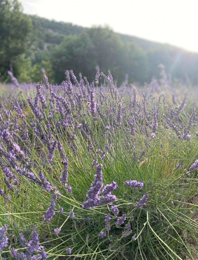 superbe logement au cœur Luberon proche du Colorado provencal dans une résidence au calme avec piscine, magnifique vu sur le Luberon depuis la terrasse Viens Esterno foto
